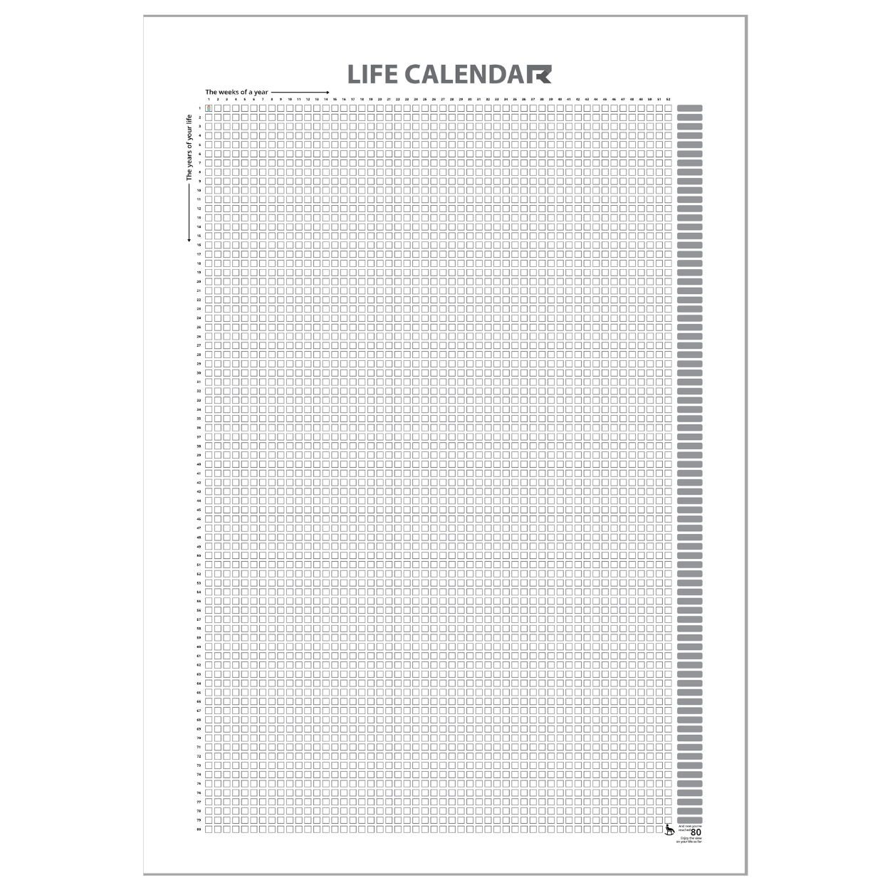 Life Calendar ⚡ The overview of your first 4,160 weeks in life (English Edition)